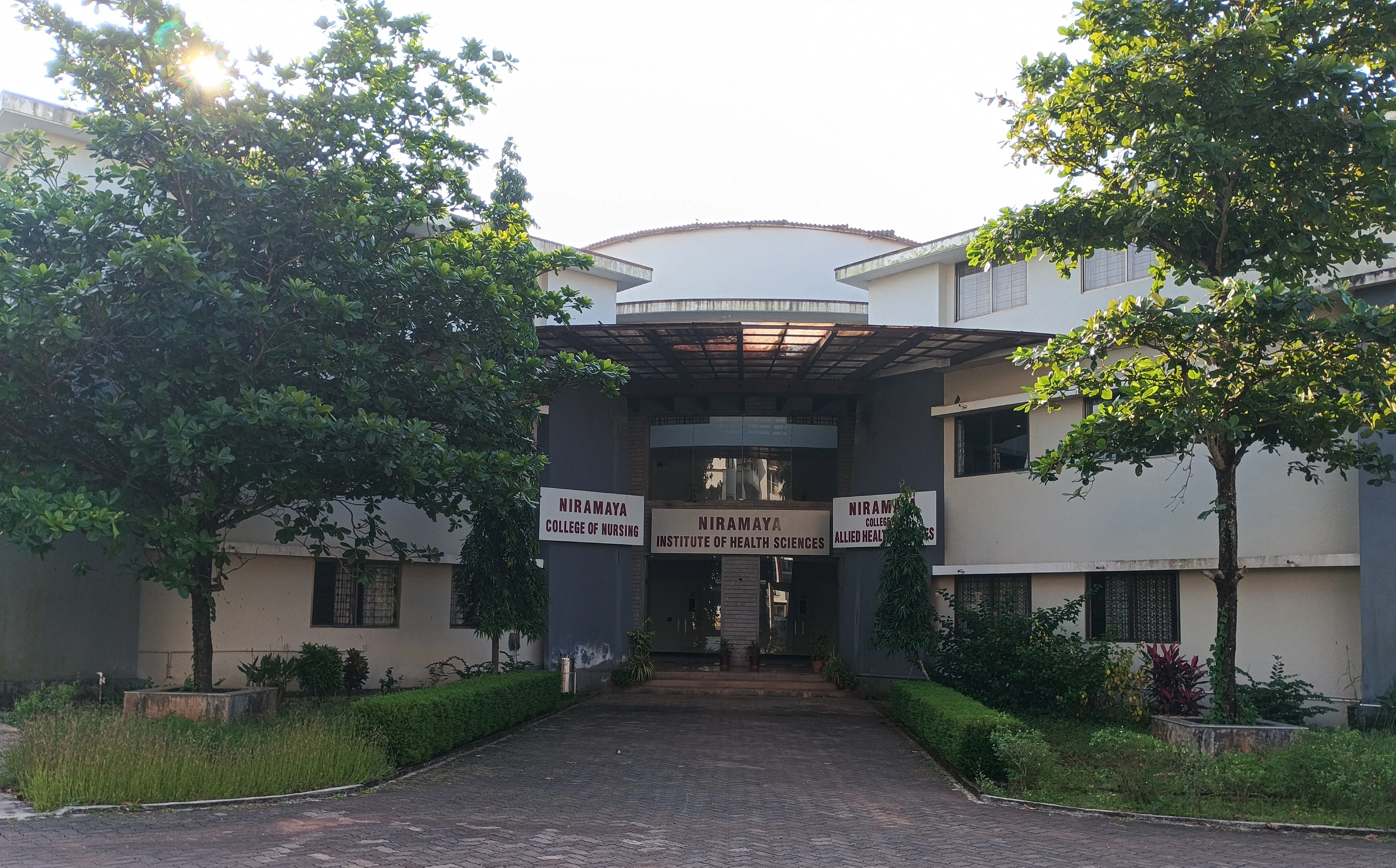 Students studying on campus lawn
